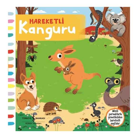 Hareketli Kanguru