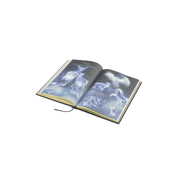 Harry Potter Haftalık Ajanda Hufflepuff