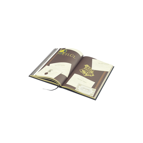 Harry Potter Haftalık Ajanda Slytherin