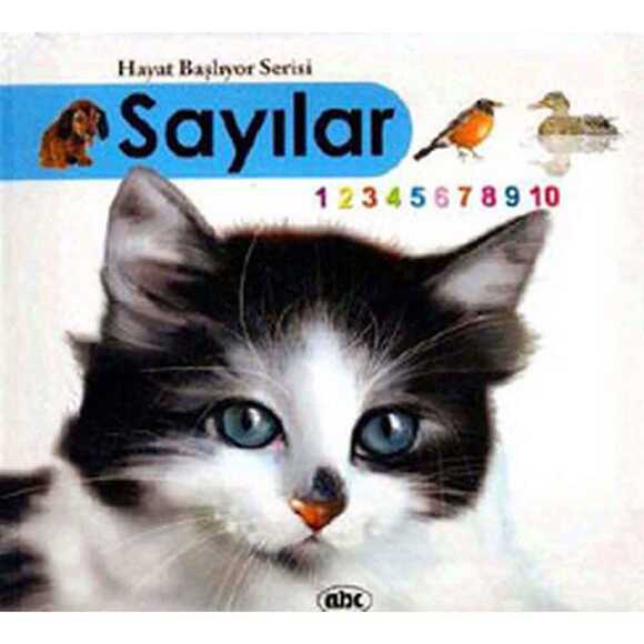 Hayat Başlıyor 1 - Ciltli Sayılar