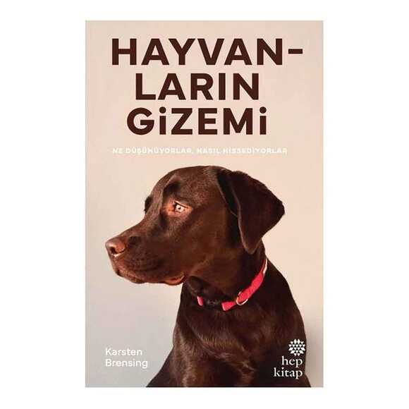 Hayvanların Gizemi