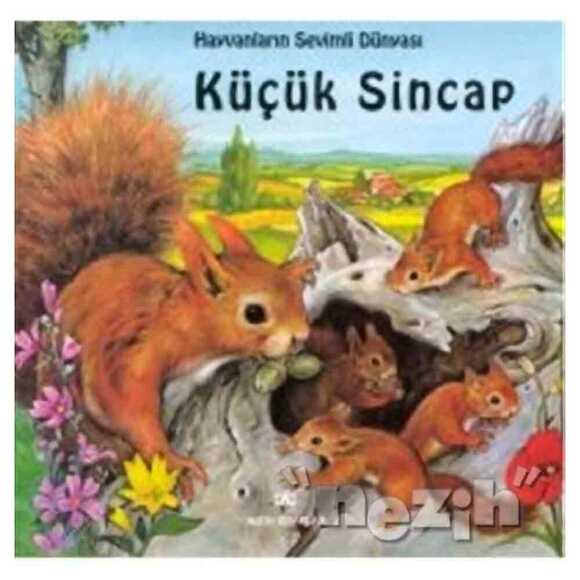 Hayvanların Sevimli Dünyası Küçük Sincap