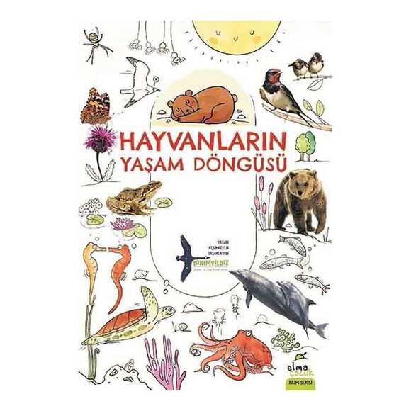 Hayvanların Yaşam Döngüsü