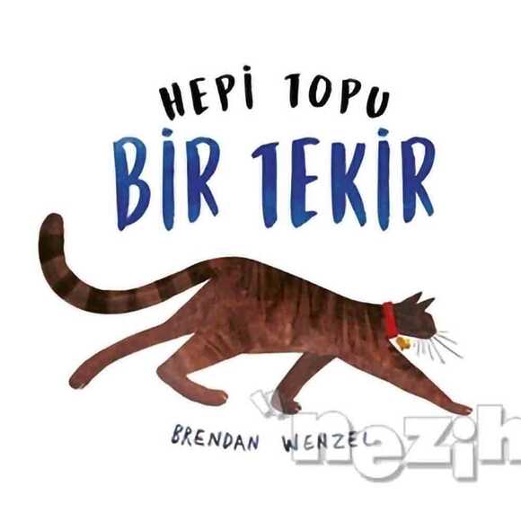 Hepi Topu Bir Tekir