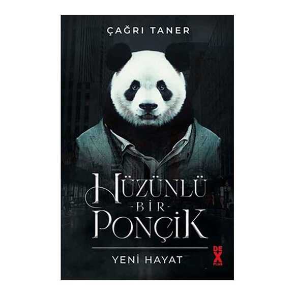Hüzünlü Bir Ponçik - Yeni Hayat