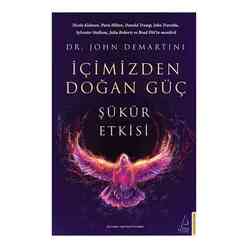 Destek Yayınları - İçimizden Doğan Güç
