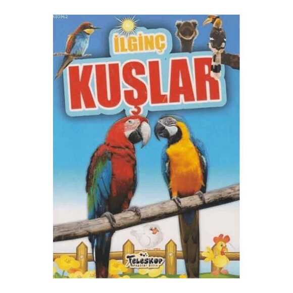 İlginç Kuşlar 