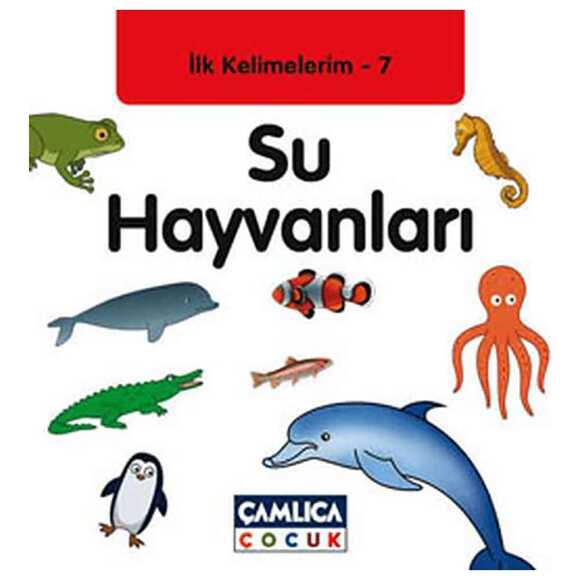 İlk Kelimelerim 7 Su Hayvanları