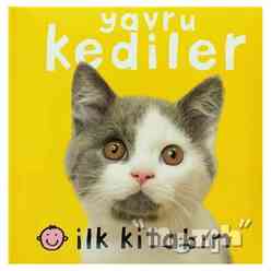 İlk Kitabım - Yavru Kediler - Thumbnail