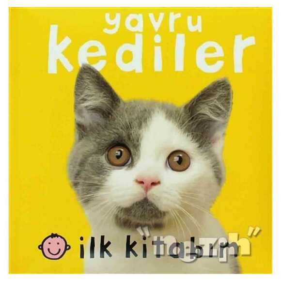 İlk Kitabım - Yavru Kediler