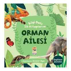 İlk Kitaplarım Orman Ailesi - Thumbnail