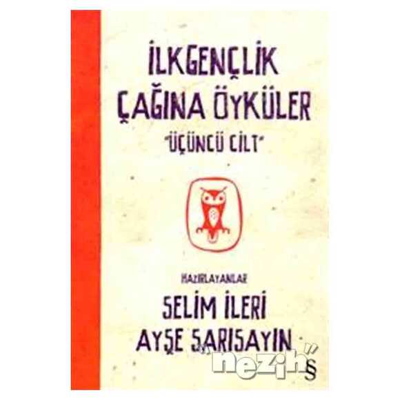 İlkgençlik Çağına Öyküler 3. Cilt