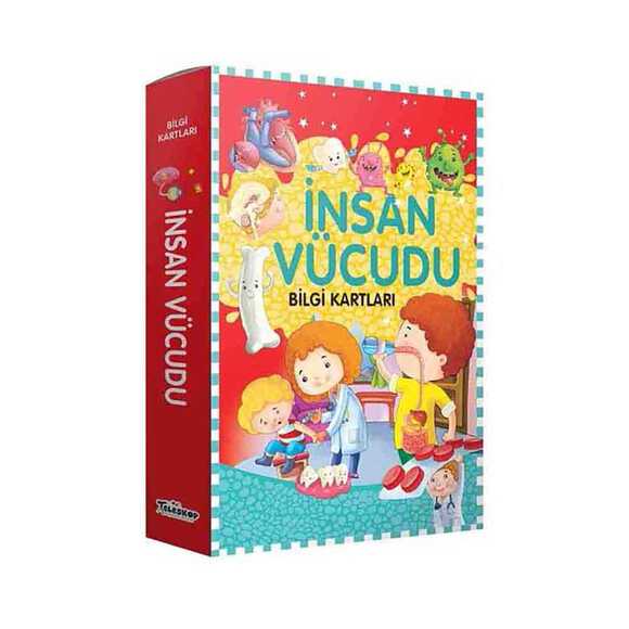 İnsan Vücudu - Bilgi Kartları
