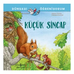 İş Bankası Kültür Yayınları - İş Bankası Küçük Sincap Dünyayı Öğreniyorum