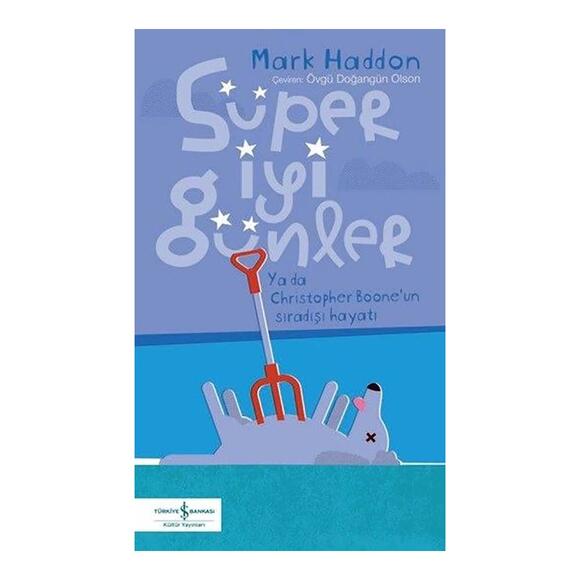 İş Bankası Sürpriz