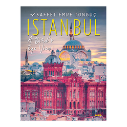 Istanbul A Bird’s Eye Viev - Thumbnail