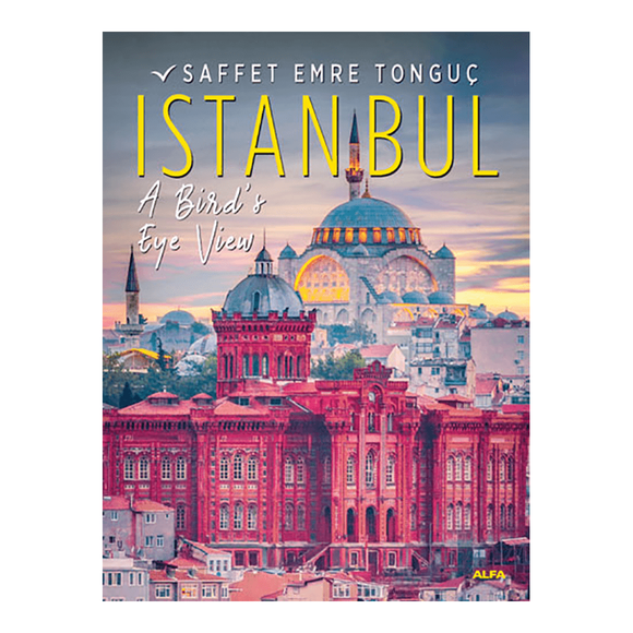 Istanbul A Bird’s Eye Viev