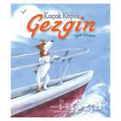 Kaçak Köpek Gezgin - Thumbnail