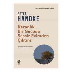Karanlık Bir Gecede Sessiz Evimden Çıktım - Thumbnail