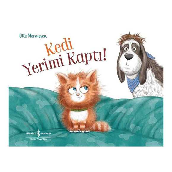 Kedi Yerimi Kaptı!