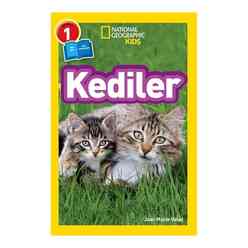 Kediler - Thumbnail