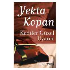 Can Yayınları - Kediler Güzel Uyanır