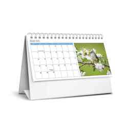 Keskincolor - Keskin 2025 Karton Üçgen Masa Takvimi Kuşlar 600040-99