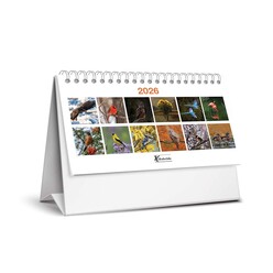 Keskincolor - Keskin 2026 Karton Üçgen Masa Takvim Kuşlar 