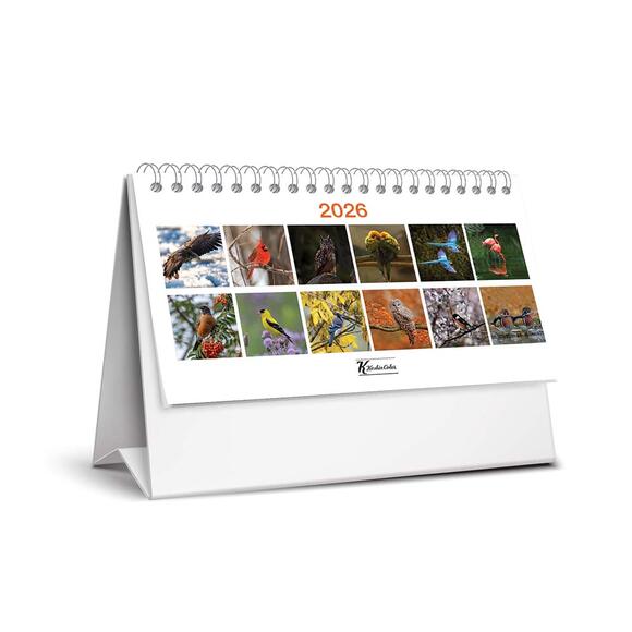 Keskin 2026 Karton Üçgen Masa Takvim Kuşlar 