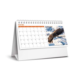 Keskin 2026 Karton Üçgen Masa Takvim Kuşlar - Thumbnail