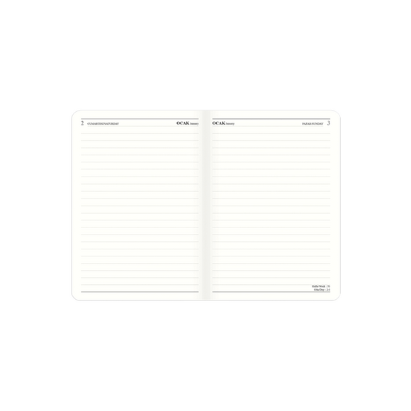 Keskin Turnowsky Touch Günlük Ajanda Daphne 2021 9x14