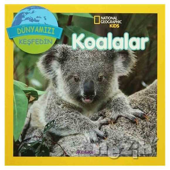 Koalalar - Dünyamızı Keşfedin