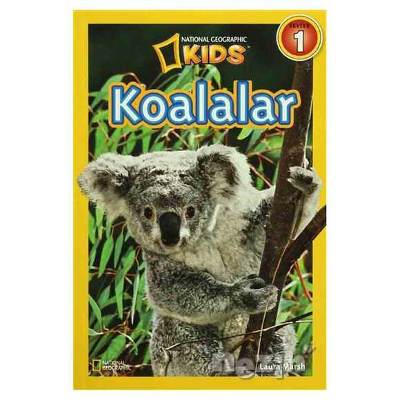 Koalalar - Seviye 1
