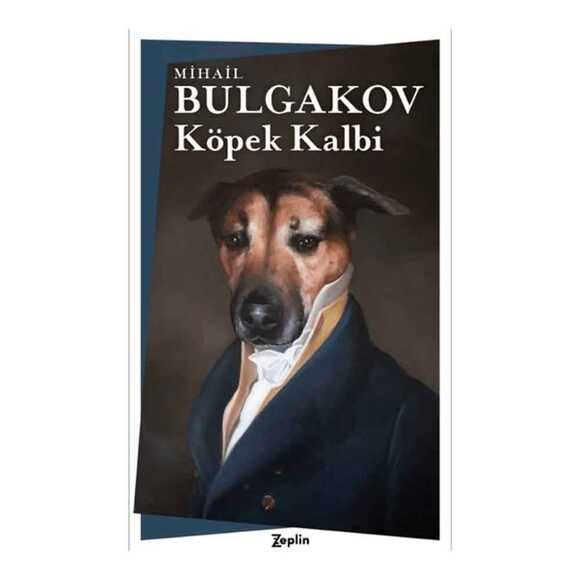 Köpek Kalbi