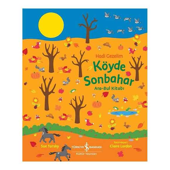 Köyde Sonbahar Ara-Bul Kitabı Hadi Gezelim