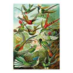 Ks Puzzle 22030 Hummingbirds 1500 Parça - Thumbnail