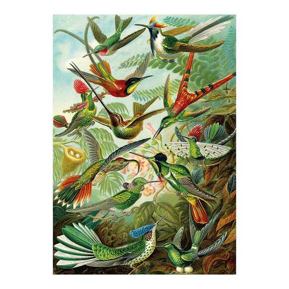 Ks Puzzle 22030 Hummingbirds 1500 Parça 