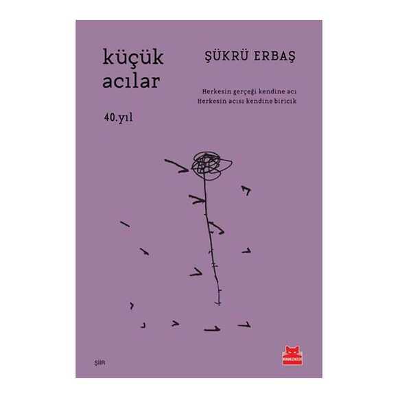 Küçük Acılar - 40. Yıl