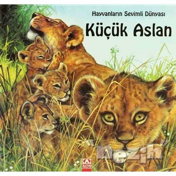 Küçük Aslan 245506