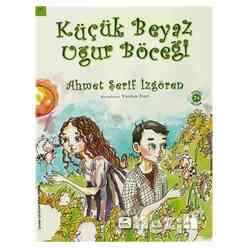 Küçük Beyaz Uğur Böceği - Thumbnail