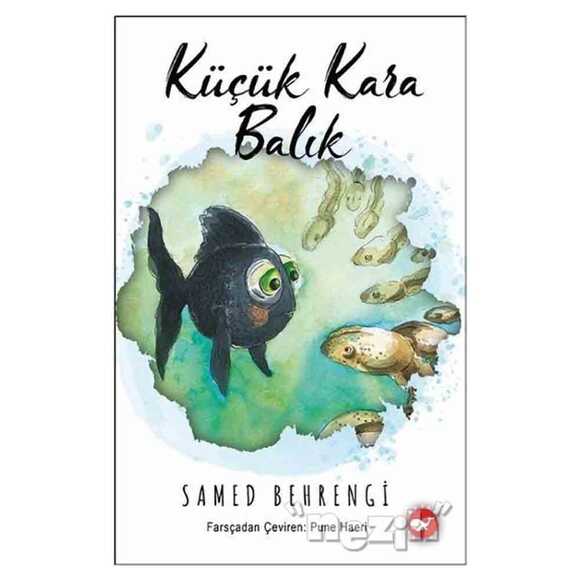 Küçük Kara Balık (Ciltli)
