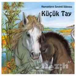 Altın - Küçük Tay