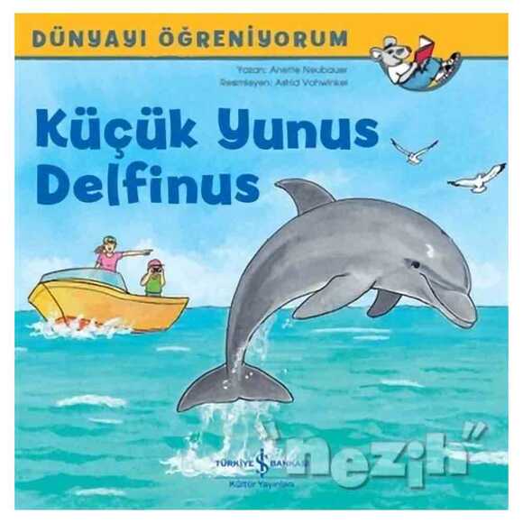 Küçük Yunus Delfinus