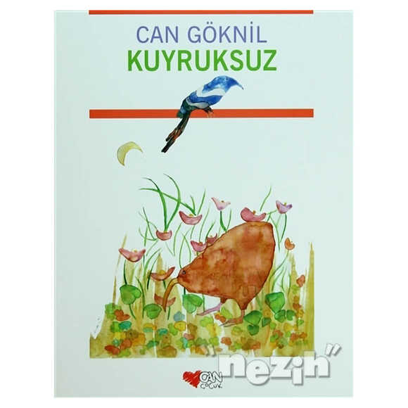 Kuyruksuz