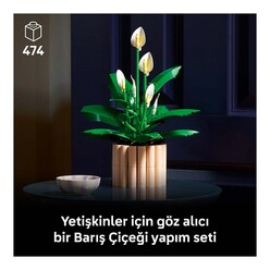 Lego Botanicals Barış Çiçeği 11504 - Thumbnail
