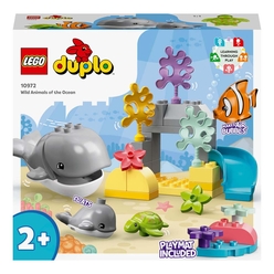 Lego Duplo Vahşi Okyanus Hayvanları 10972 - Thumbnail