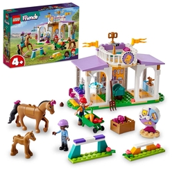 LEGO Friends At Eğitimi 41746 Oyuncak Yapım Seti (134 Parça) - Thumbnail