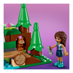 Lego Friends Orman Şelalesi 41677 - Thumbnail