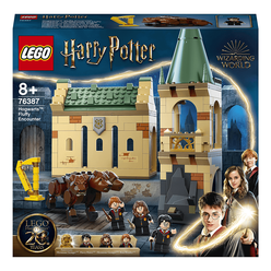 Lego Harry Potter Hogwarts Fluffy İle Karşılaşma 76387 - Thumbnail