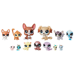 Littlest Pet Shop Miniş Koleksiyoner Seti B6625-B9343 - Thumbnail